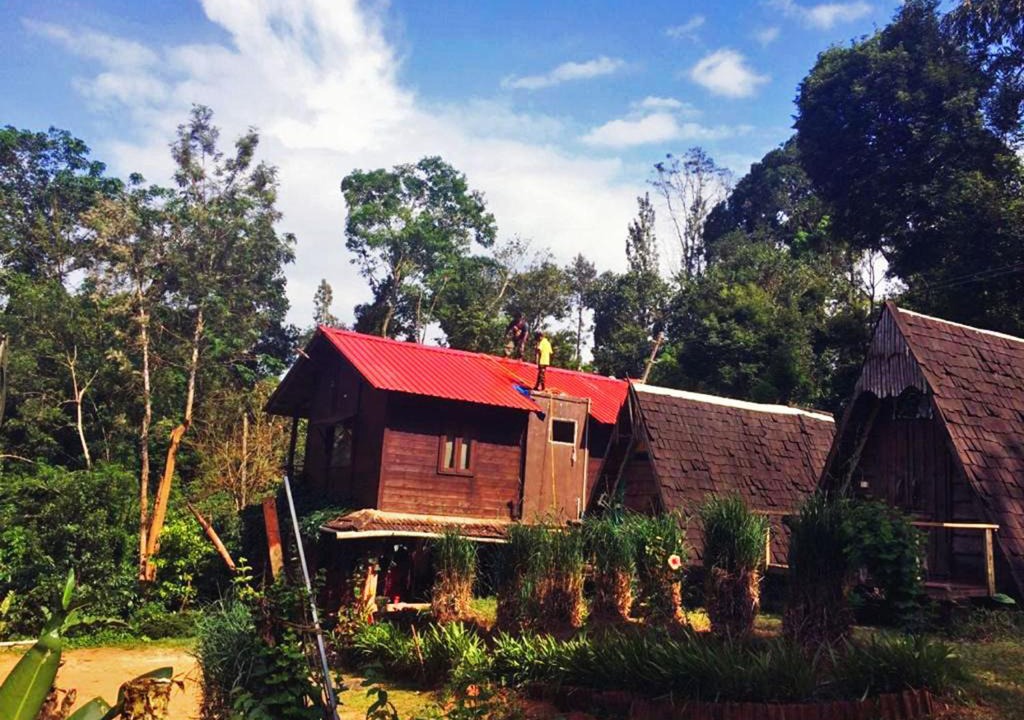 Manchalli Resort | Turtle Pond Home Stay