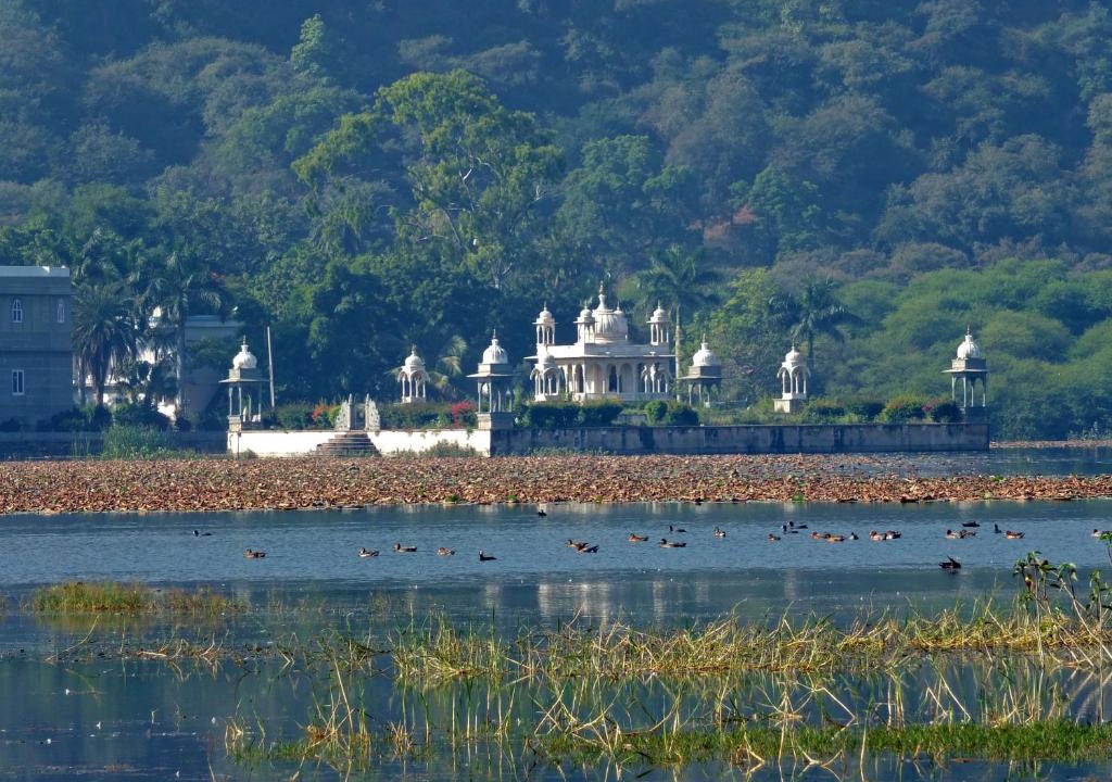 Dungarpur Hotel | Udai Bilas Palace