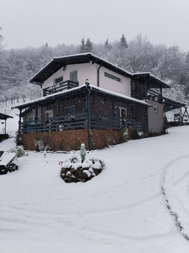 Calugareni Villa | VILA Ade