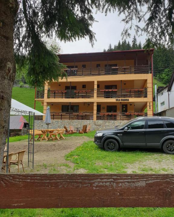 Moeciu de Sus House | Vila Bianca Dragusin