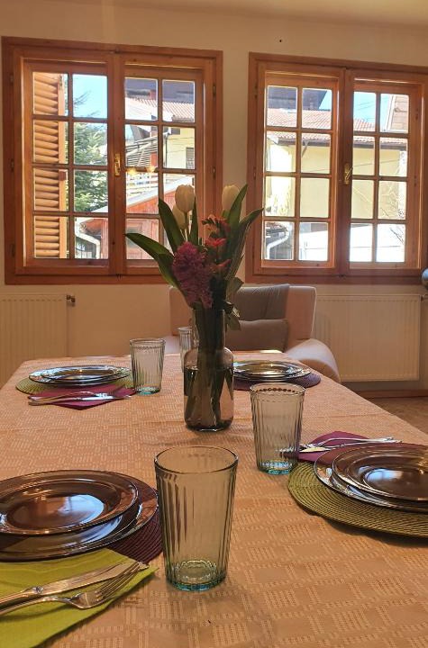 Sinaia Villa | Vila Panselutelor 6