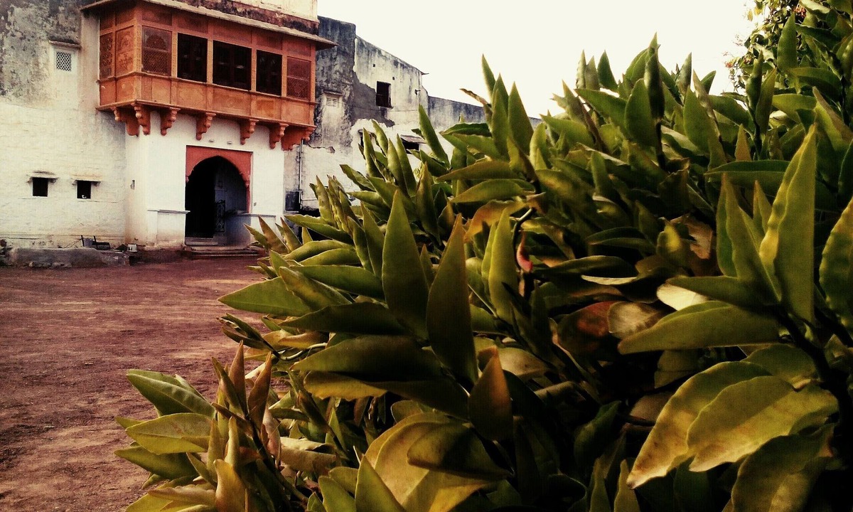 Rohet House | Village Castle stay amidst Desert