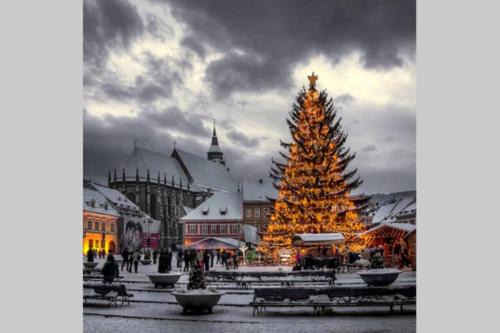 Brasov City Centre Hostel | Vintage Downtown Rooms