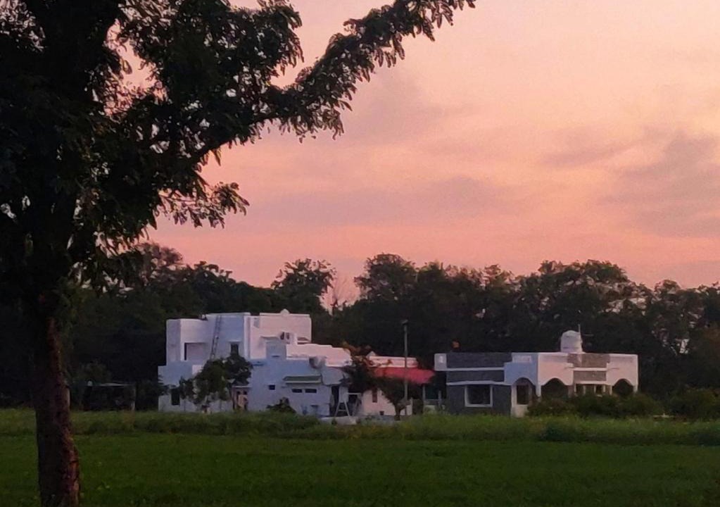 Bali House | Vriksh Jawai The farm stay