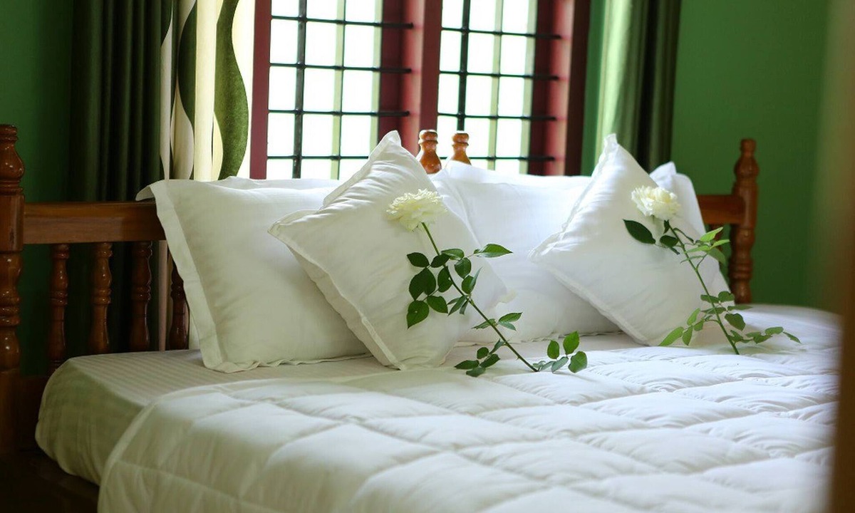 Kolagappara Bed & Breakfast | Wayanad Stay- The Coffee-suite
