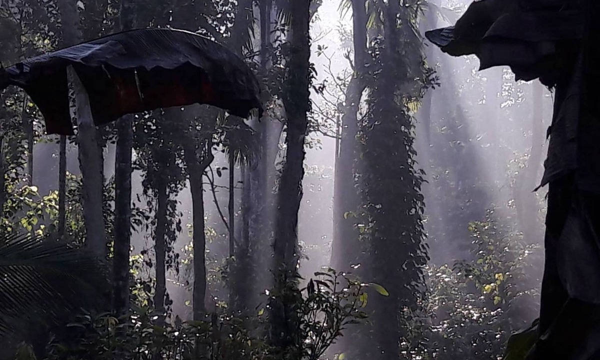 Kolagappara Bed & Breakfast | Wayanad Stay the Pepper Suite