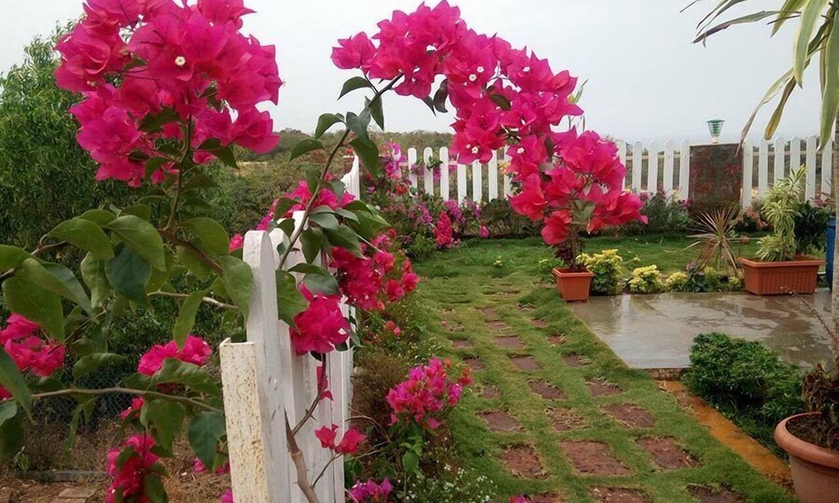 Anjanvel Hotel | White Sand Retreat