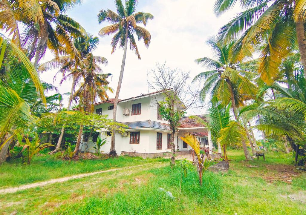 Cherthala Bed & Breakfast | White Sands Homestay