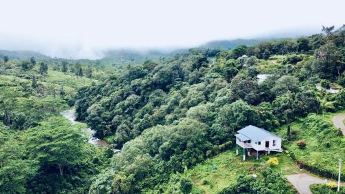 Peermade House | Willostays Amburan hills cabin with mountain waterfalls views