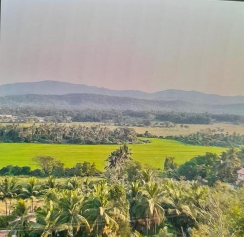 Cuncolim House | Wonderville Ensuite Rooms