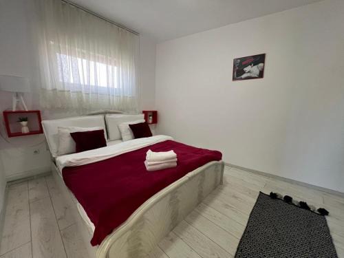 Satu Mare Apartment | Zen Apartment 3