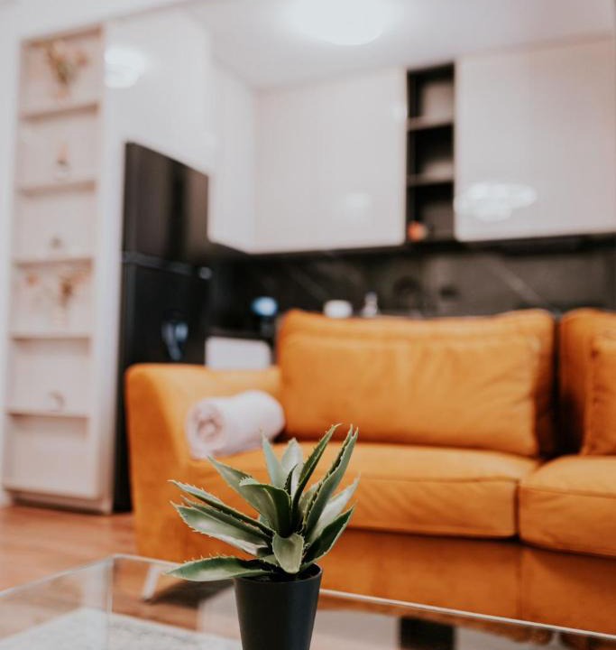 Iasi Apartment | Zen Hideaway Near Mall Moldova and Center