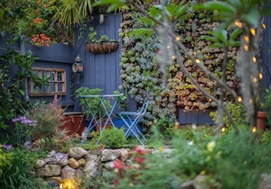 Charming 2 Bedroom Victorian Cottage in Rozelle in Sydney