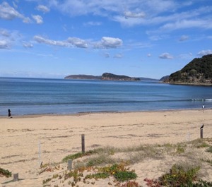 Umina Beach 