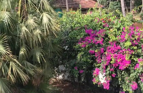 Fatona Apartment | 1BHK Luxury Homestay In South Goa.1 km from Beach