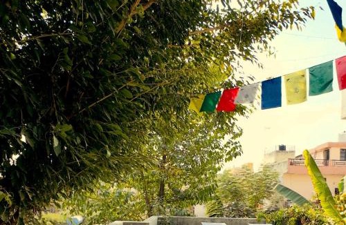 Udaipur House | 2 bhk pool Villa
