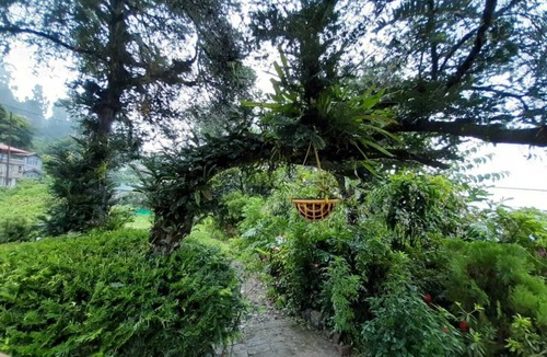 Turuk Hotel | 3. The Atrium Park Kalimpong - Room with attached bathroom -Parking & wifi