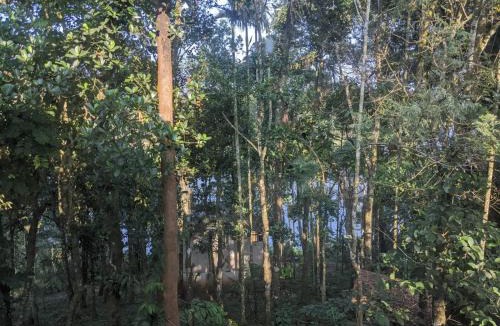 Sulthan Bathery Cabin | 7 Heaven Resorts