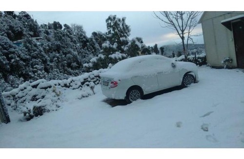 Sakalana Range Resort | 7 Hills Resort, Kanatal