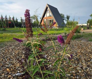 Herneacova Ski Chalet | A-frame Dor De Aer