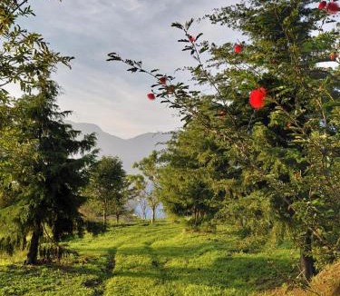 Devikolam Villa | A Frame Hideaway in the Hills-Mountaincliffliving
