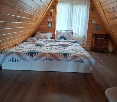 Agapia Ski Chalet | A frame iris