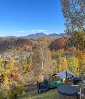 Bran Cabin | A-frame Muchia Scortii
