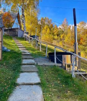 Bran Cabin | A-frame Muchia Scortii