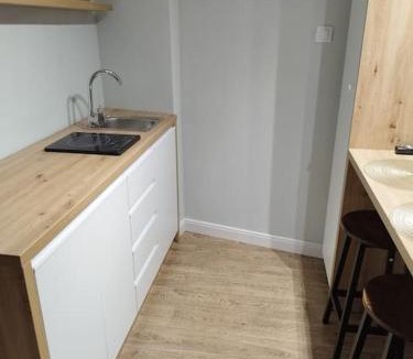 Iasi Apartment | A G Studio's Palas-Iasi