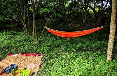 Agara House | A Home in the Woods