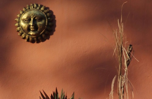 Siliguri Bed & Breakfast | A peaceful retreat, amidst nature and sounds of birds/artist studio