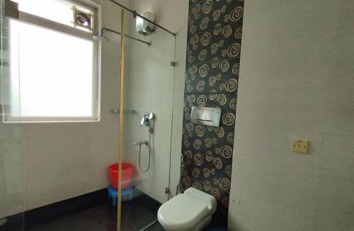 Kailash Colony Hostel | A Sleepy Fox Hostel