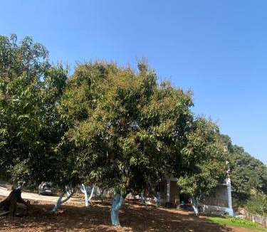 Pune Villa | Aadvik Patil Farm