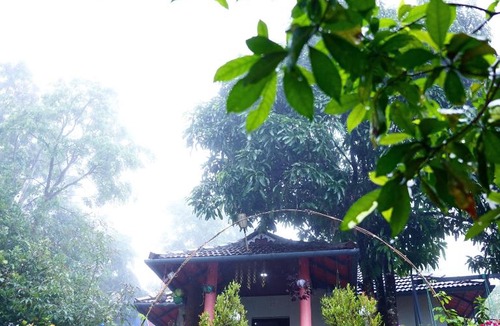 Thalassery Resort | Aaroodam Resort