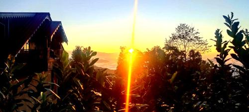 Darjeeling House | Aarya Homestay Experience offbeat Darjeeling living in Rampuria village, Senchal Wildlife Sanctuary