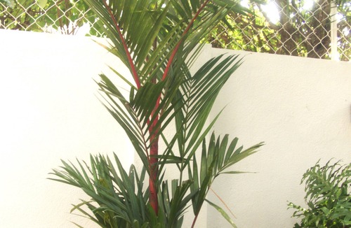 Lonavala Villa | Abode Pool, Golf & Fun Villa 2BHK Close to main market. Suitable for 8 Guests