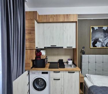 Onesti Apartment | AchiDav 133