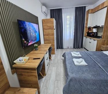 Onesti Apartment | AchiDav 133
