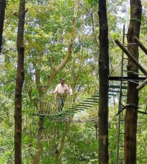 Sulthan Bathery Resort | Adrak Mountain Mist Forest Resort