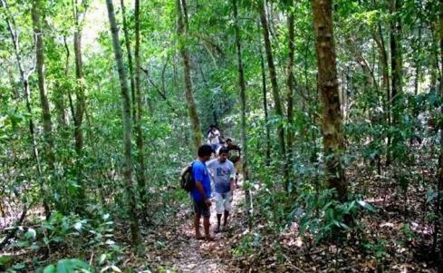Supa House | Adventure Inn Dandeli