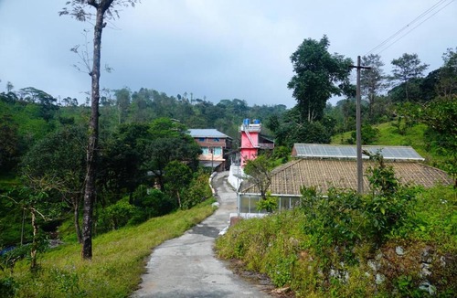 Valparai Cabin | AGB Jungle Resort