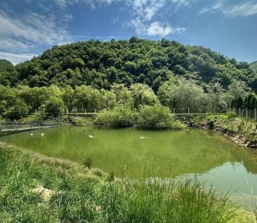 Magura Ilvei Villa | Agropensiunea Dănilă