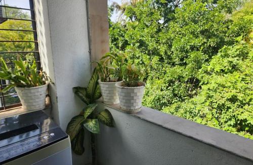Greater Kailash Apartment | Air Purifier - Sun-lit 1BHK Suite with big kitchen 9