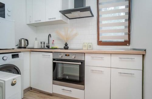 Iasi Apartment | Airport Connection