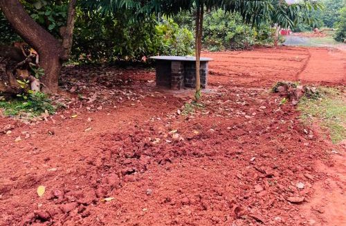 Auroville House | Akazumba home stay