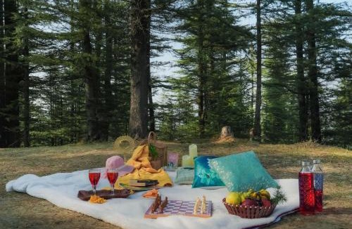 Naldehra House | Alaya Stays The Ridgeview Retreat Pet-friendly Hillside Retreat