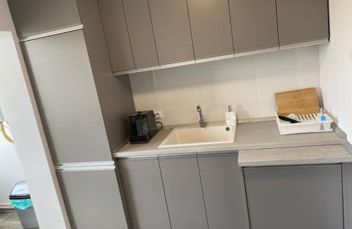 Pitesti Apartment | Alesandru apartament