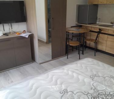 Ocna Mures Apartment | Alesia B