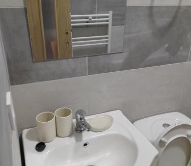 Ocna Mures Apartment | Alesia B