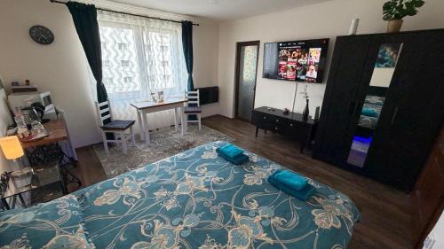 Campulung Moldovenesc Apartment | Alio Room Campulung Moldovenesc